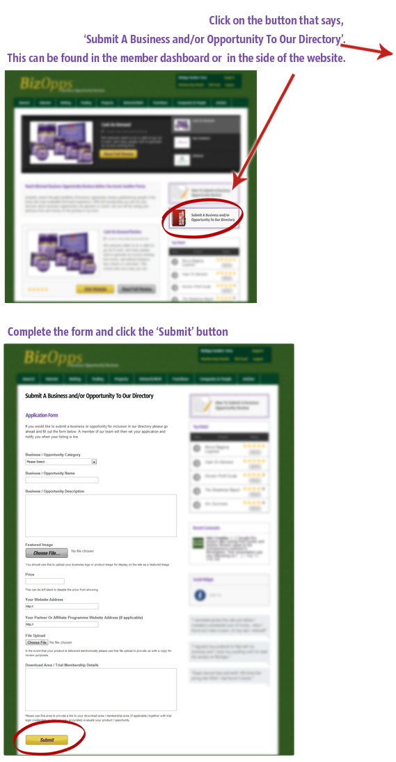 How To Submit A Business / Opportunity Review